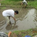 稲を一本一本丁寧に田植え～！秋まで元気に育ってね！