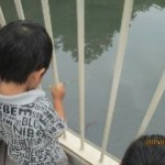 竿にスルメを付けてそ～っと垂らして・・・釣れるかな？