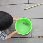 釣れたザリガニを観察！