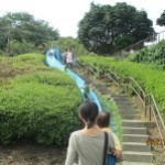 長～い滑り台＼(^^)／ 降り口の平らな部分が長いので、着地は尻もち付かずに安心です！
