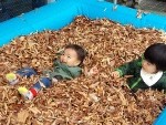 フカフカの落ち葉楽しい～(*≧∀≦*)