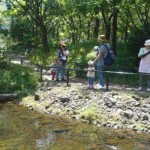 何がいるかなぁ～ もっと見てたいよぅ