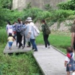 とんぼ池にカルガモが3羽遊びに来ていました~。