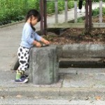 クルクル回る円盤?回しちゃお~っ