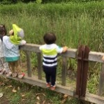 カエルさんいるかな~?