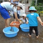 どれを使おうかなぁ