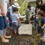 地下に雨水がたまっているのでポンプでくみ出すよ