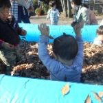 落ち葉つかめた！わーいヽ(´▽｀)/楽しいな～