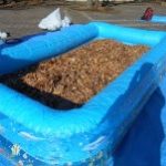 この量はなかなかおウチでは味わえません(*ﾟ▽ﾟ*)