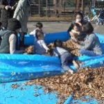 ママ達も落ち葉プールを堪能中～？