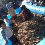 落ち葉がカサカサ鳴ってるよ！フカフカで気持ちいい～！